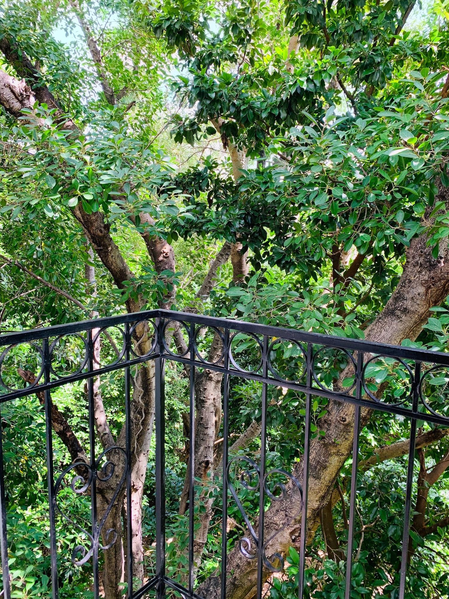 Villa Antilope Канкун Екстериор снимка
